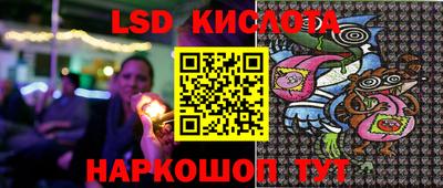 гашик Новозыбков