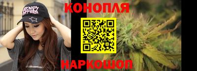 гашик Новозыбков