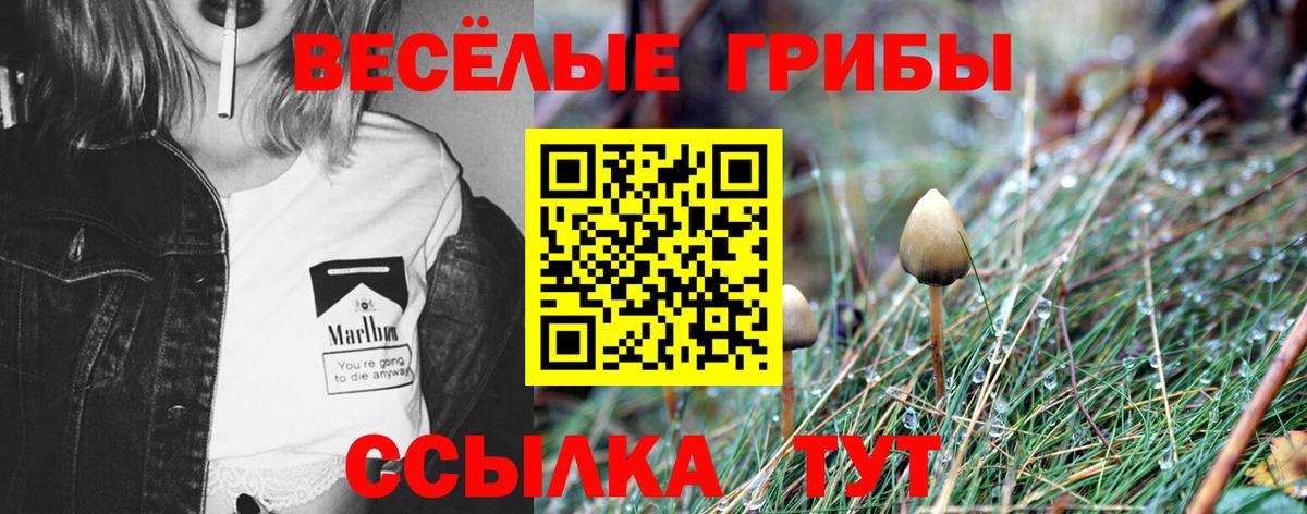 где найти   Вход с VPN  Уссурийск  Псилоцибиновые грибы Cubensis  Галлюциногенные грибы мухоморы 